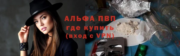 сатива Верея