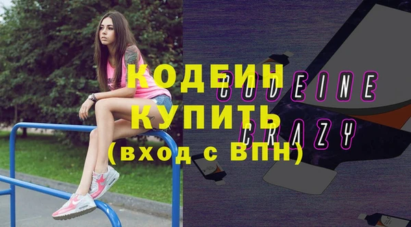 сатива Верея