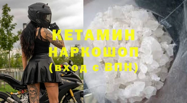 сатива Верея